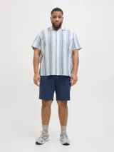 Camisa de manga corta a rayas verticales azules y blancas, con cuello resort y corte holgado.