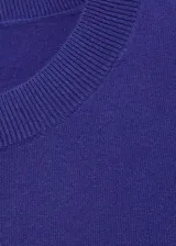 Jersey de punto fino color azul con cuello redondo y mangas cortas.