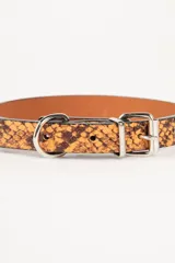 Collar para perro con estampado animal print de serpiente en tonos marrón y amarillo, con hebilla y argolla metálicas plateadas.