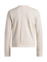 Buzo Under Armour de cuello redondo, color gris claro, con logo pequeño estampado en el pecho. Confeccionado en tejido Terry, ideal para usar antes o después del entrenamiento.