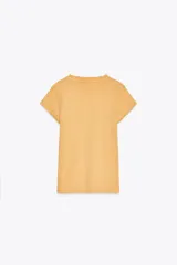 Remera color ladrillo con cuello redondo y mangas cortas.