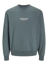 Buzo de manga larga y cuello redondo color gris, de fit relajado y tejido de bucle.