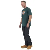 Remera verde de manga corta con logo Dickies tricolor estampado en el pecho.