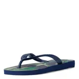 Sandalias Havaianas modelo Aloha, con base estampada con hojas en blanco y negro, y tiras negras.