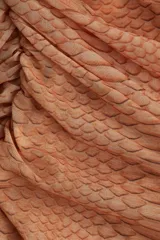 Vestido tobillero sin mangas en malla estampada con textura de piel de serpiente. Modelo de corte ajustado con escote redondo y sección drapeada con pliegues en un lateral. Forrado.