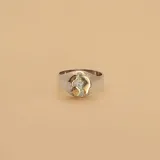 Anillo de plata 925 y oro 9k con diseño de globo terráqueo.