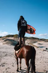 Buzo hoodie negro con capucha y cordón ajustable. Estampado en la espalda con un diseño de palmera dentro de un marco a cuadros.