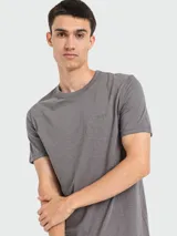Remera gris de algodón con corte regular fit y logo de la marca bordado en el pecho.