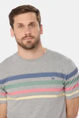 Remera de manga corta color gris jaspeado con cuello redondo y un patrón de rayas horizontales anchas en tonos pastel (azul, verde menta, rosado y amarillo). Presenta un pequeño logo bordado en el pecho.