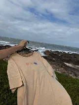 Remera color beige con estampado de tres flores en el pecho, una roja, una amarilla y una azul.