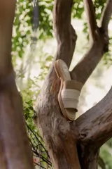 Sandalias de cuero negras con diseño de tiras cruzadas y detalle de elástico en el talón.