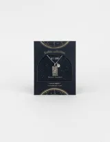 Cadena corta plateada con dije rectangular con el signo zodiacal Aries y un dije redondo pequeño.