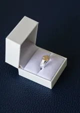 Anillo de profesión en plata 925 con detalles en oro de 10k, personalizado para enfermería.