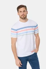 Remera de manga corta color gris jaspeado con cuello redondo y un patrón de rayas horizontales anchas en tonos pastel (azul, verde menta, rosado y amarillo). Presenta un pequeño logo bordado en el pecho.