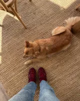 Zapatillas deportivas marrones de cuero vacuno con cordones y suela de goma.