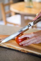 Juego de utensilios de cocina que incluye un cuchillo y un pincho, ambos con mangos de cuerno de ciervo.