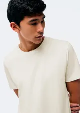 Remera básica de manga corta color gris claro, con cuello redondo.