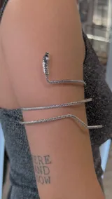 Brazalete plateado con forma de serpiente que se enrosca en el brazo.