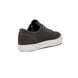 Championes acordonados grises de lona, con suela de goma blanca y detalle de etiqueta con logo en la lengüeta.