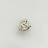 Anillo plateado con el símbolo de psicología en oro.