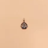 Dije de plata 925 con forma hexagonal y diseño de abeja en el centro.
