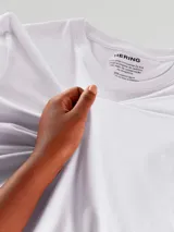 Remera básica de manga corta color gris claro, con cuello redondo.