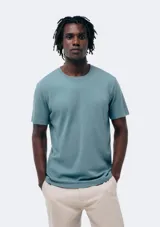 Remera básica de manga corta color gris claro, con cuello redondo.