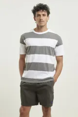 Remera de hombre a rayas horizontales anchas color azul y blanco, de mangas cortas y cuello redondo.