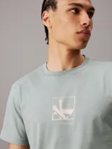 Remera verde claro de algodón con cuello redondo y manga corta. Estampado frontal con el logo de Calvin Klein en color rosa pálido.