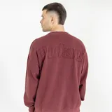 Buzo oversize de color burdeos con bordado texturizado en la espalda.