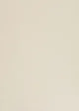 Top blanco sin mangas, con cuello barco, diseño entallado y detalle de costura en la parte delantera.