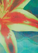 Camiseta de mangas cortas con estampado de flor.