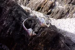 Brazalete rígido dorado con forma de caracola en los extremos.