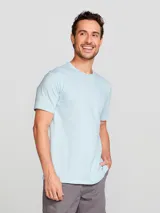 Remera básica de manga corta color gris claro, con cuello redondo.