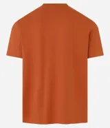 Remera color ladrillo de algodón peruano, corte comfort, cuello redondo y manga corta. Estampa rectangular con paisaje de montañas en el frente.