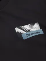 Buzo negro de algodón regenerado, cuello redondo, puños y dobladillo acanalados. Estampado en el pecho con una imagen de montañas y el logo de Calvin Klein.