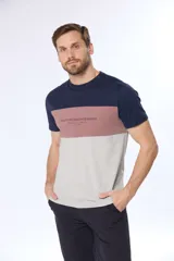 Remera de manga corta con diseño a bloques de color: azul marino en la parte superior, rosa viejo en el medio y gris claro en la parte inferior. Estampa con texto "Legacy Established Brand" en el pecho.